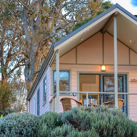 Grace Cottages Uralla Dış mekan fotoğraf