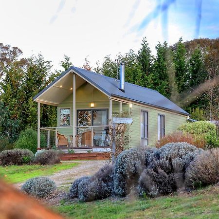 Grace Cottages Uralla Dış mekan fotoğraf
