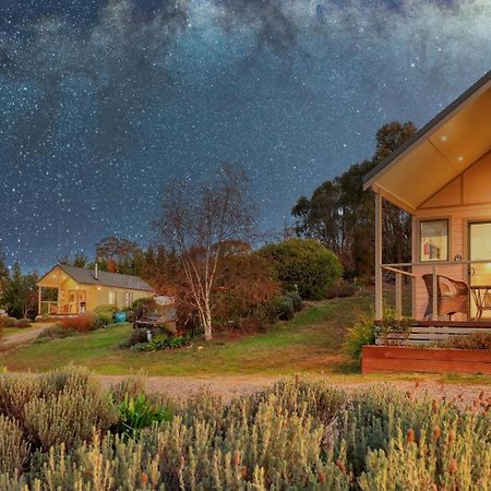 Grace Cottages Uralla Dış mekan fotoğraf