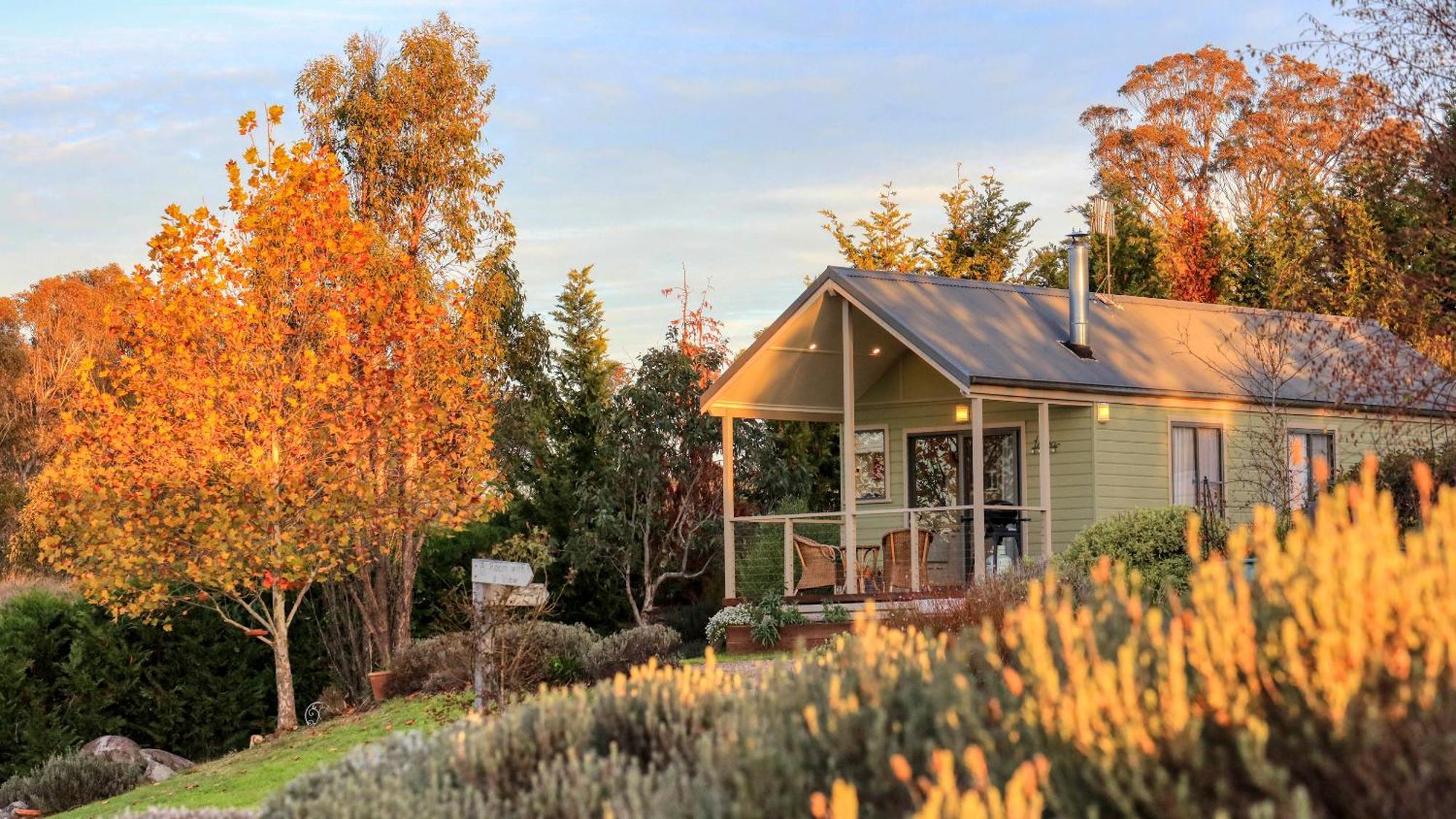 Grace Cottages Uralla Dış mekan fotoğraf