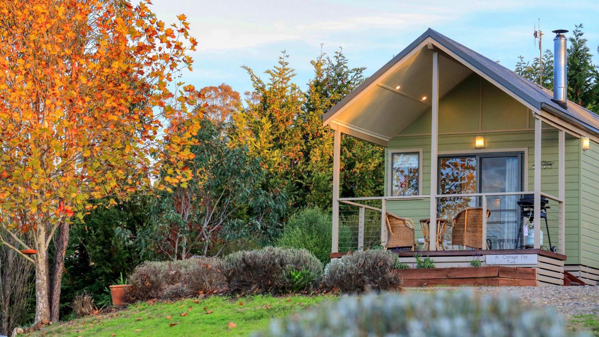 Grace Cottages Uralla Dış mekan fotoğraf