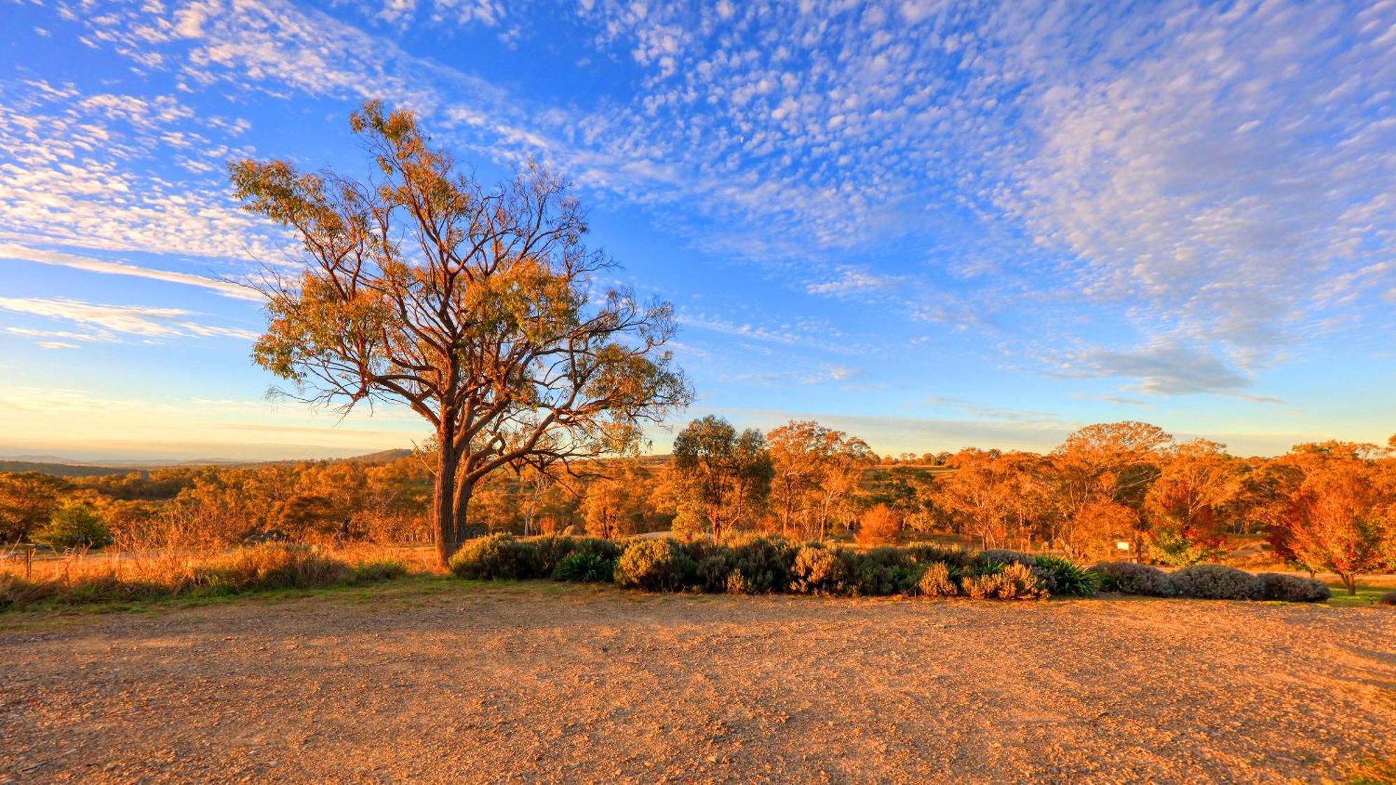 Grace Cottages Uralla Dış mekan fotoğraf